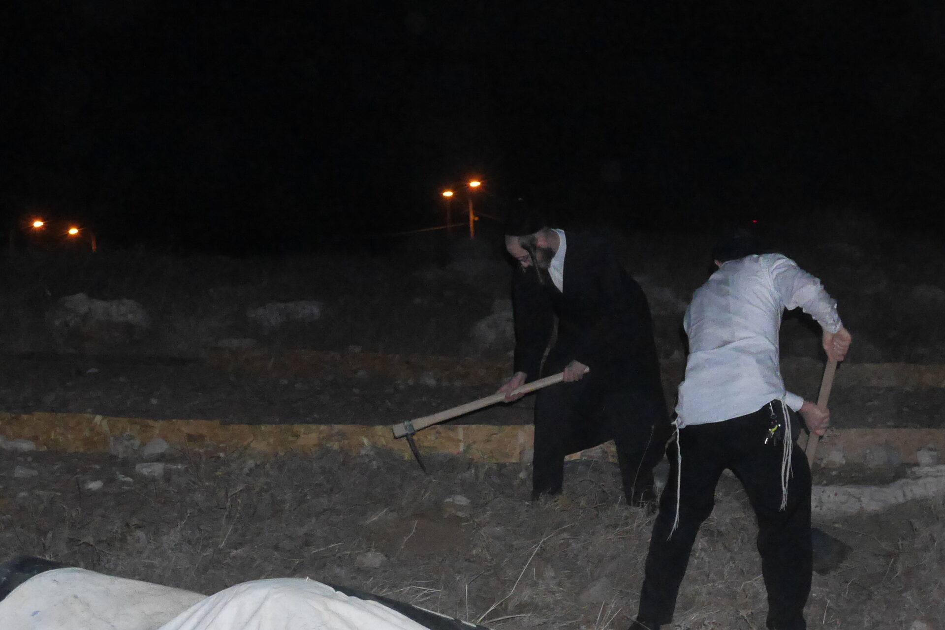 עובדים את האדמה אחרי רדת החשכה